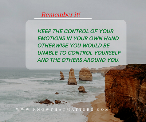 Emotional Intelligence makes you successful